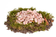 Lammfett gewolft 250 g
