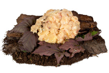 Pferdefett gewolft 250 g